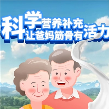 山药牛髓蛋白营养粉（特膳）