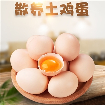【福春峡】鸡蛋四十枚